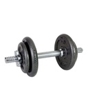 Live Up 10kg Dummbbell Set