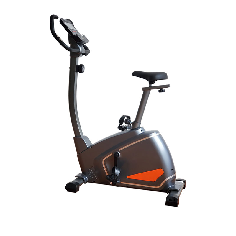 Olympia Magnetic Upright Bike