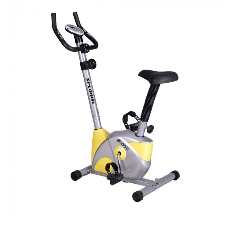 Olympia Magnetic Upright Bike