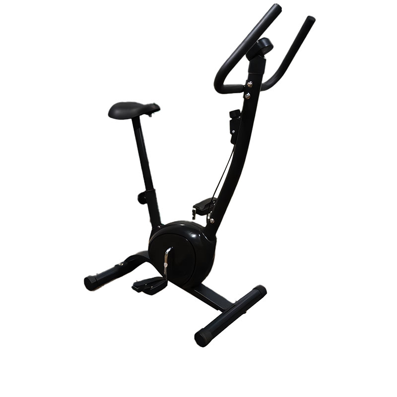 Belt Upright Bike