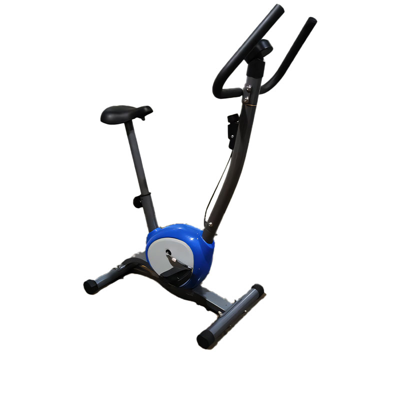 Belt Upright Bike