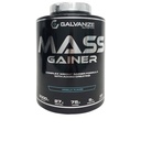 Galvanize Mass Gainer (3000G)